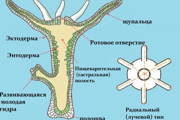 Кракен даркнет ссылка для тор