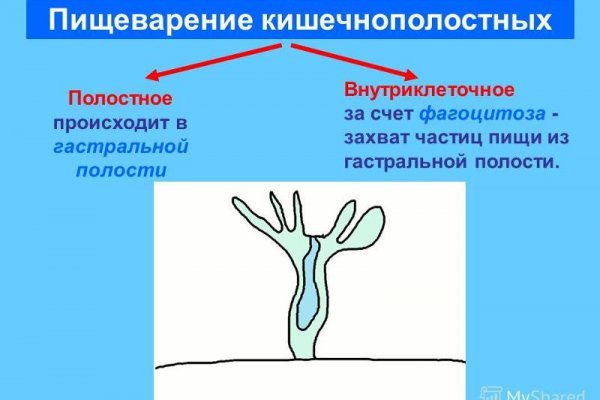 Доступ кракен