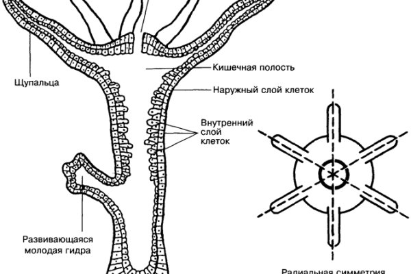 Кракен вход зеркало