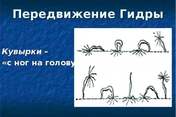 Kraken адрес