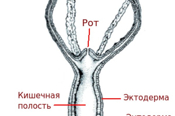 Почему не работает кракен
