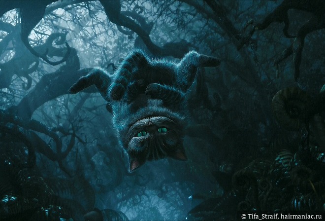 Kraken что это за магазин